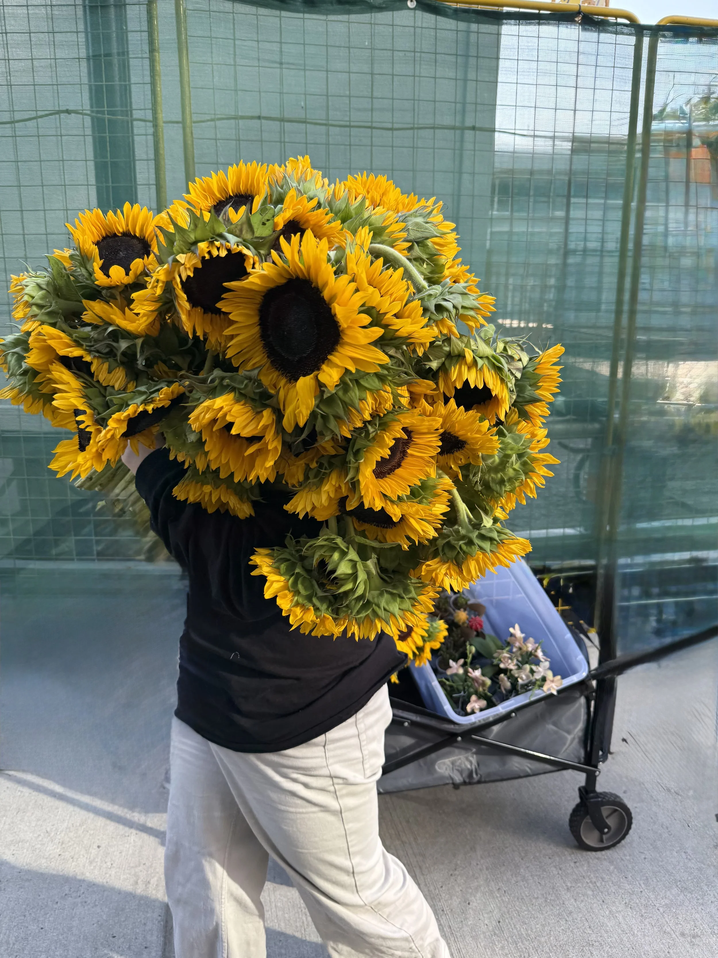The founder of The Urban Blooms arranging flowers